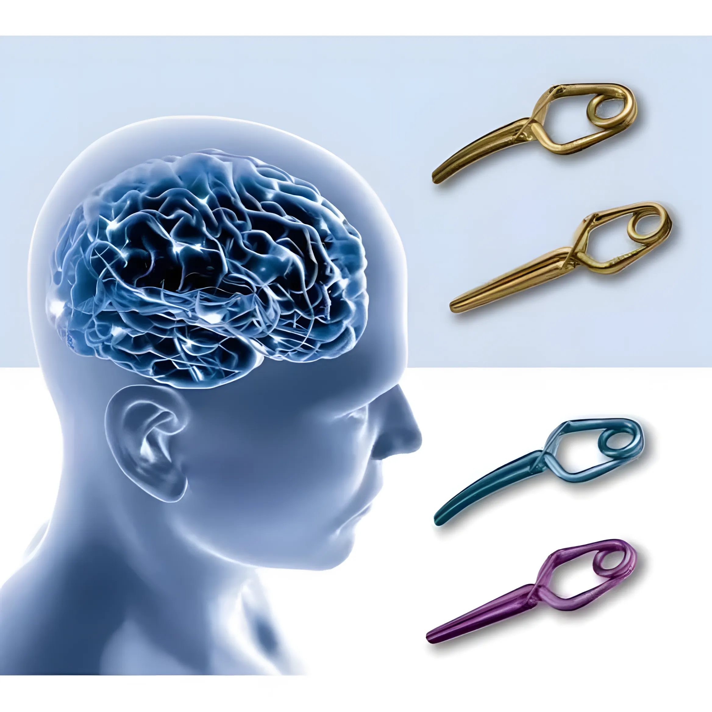 ANEURYSM CLIP SYSTEMS